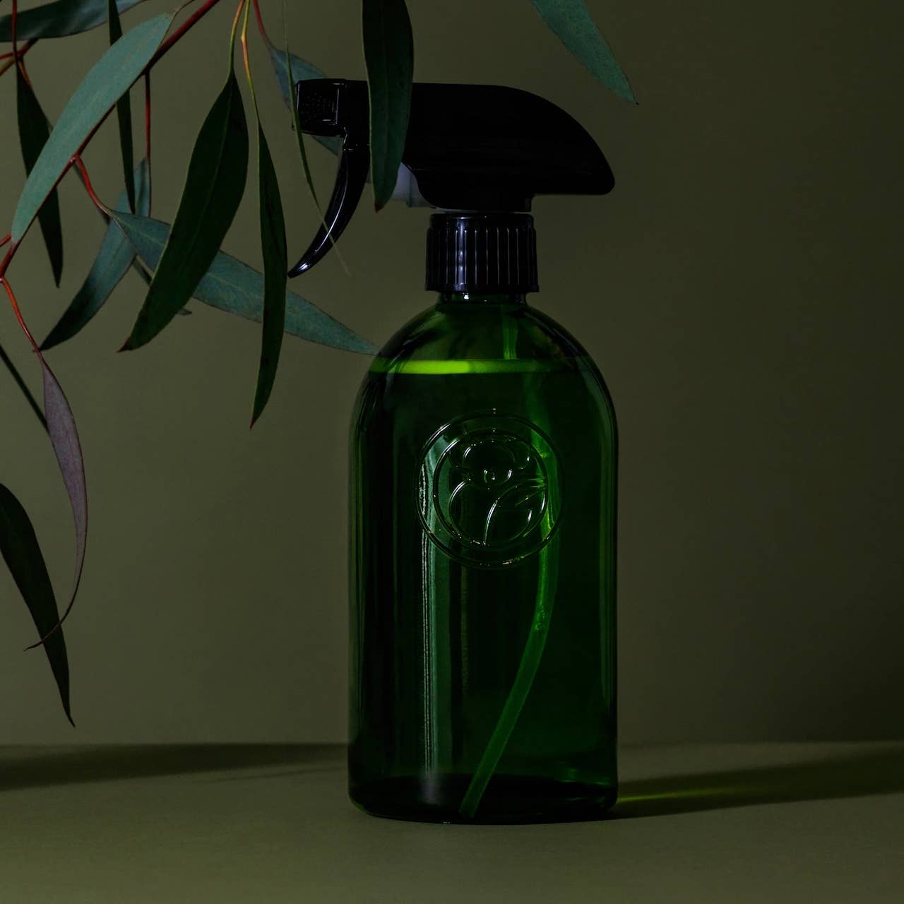 Apothecary recycled glass trigger spray bottle ideal for Koala Eco products, set against a green background with foliage.