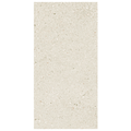 Frammenti Sintesi 12"x24" Porcelain Tile Collection