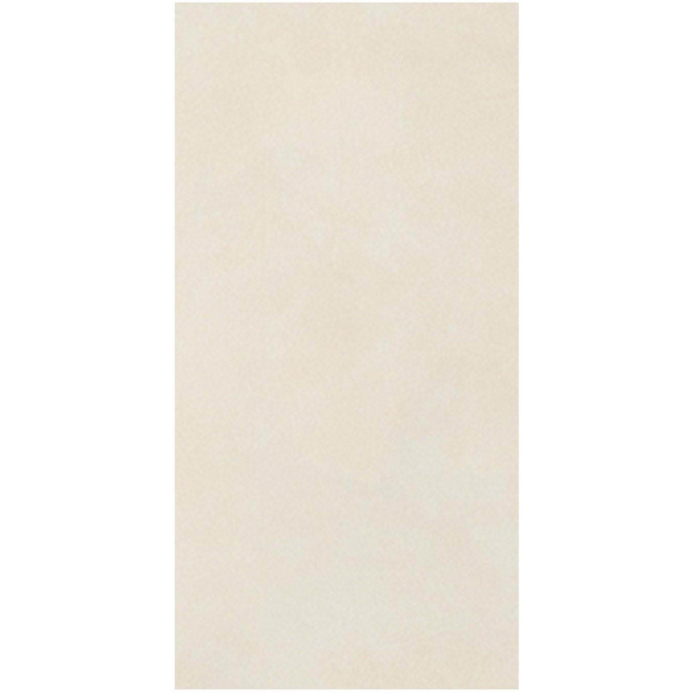 Terre Porcelain Stone Tile 24"x48"