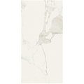 Vallelunga Calacatta Porcelain Tile 24"x48"