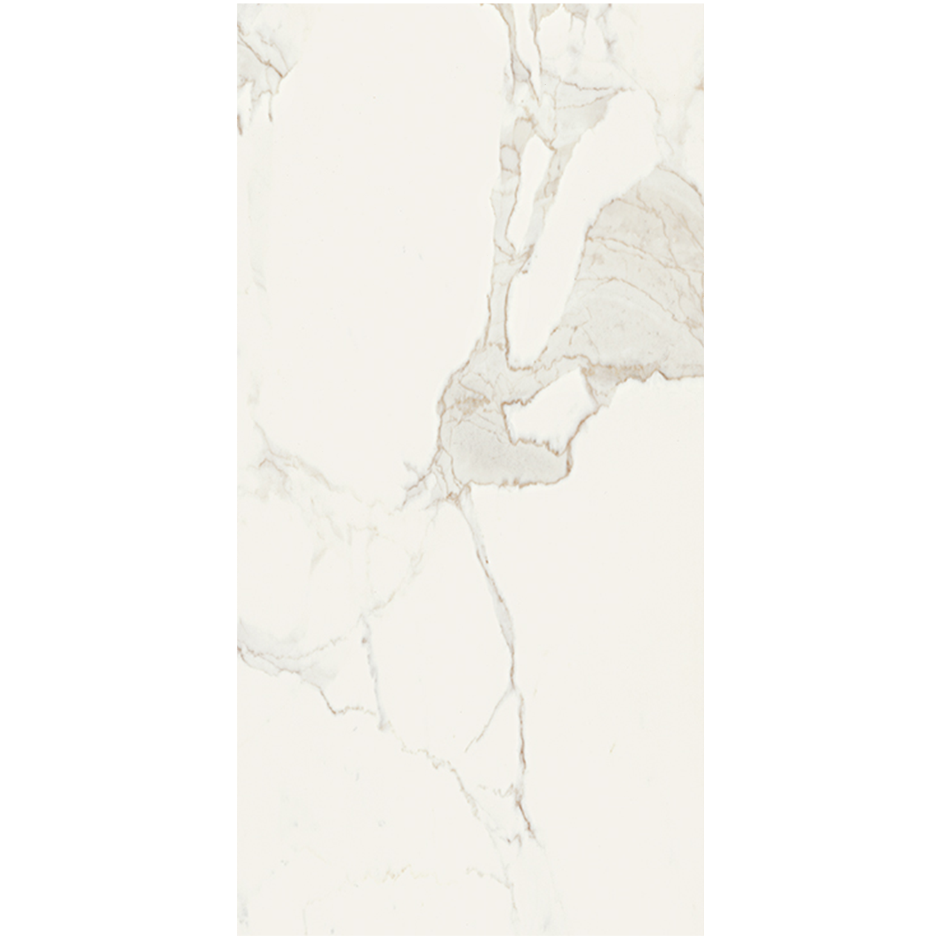 Vallelunga Calacatta Porcelain Tile 12"x24"