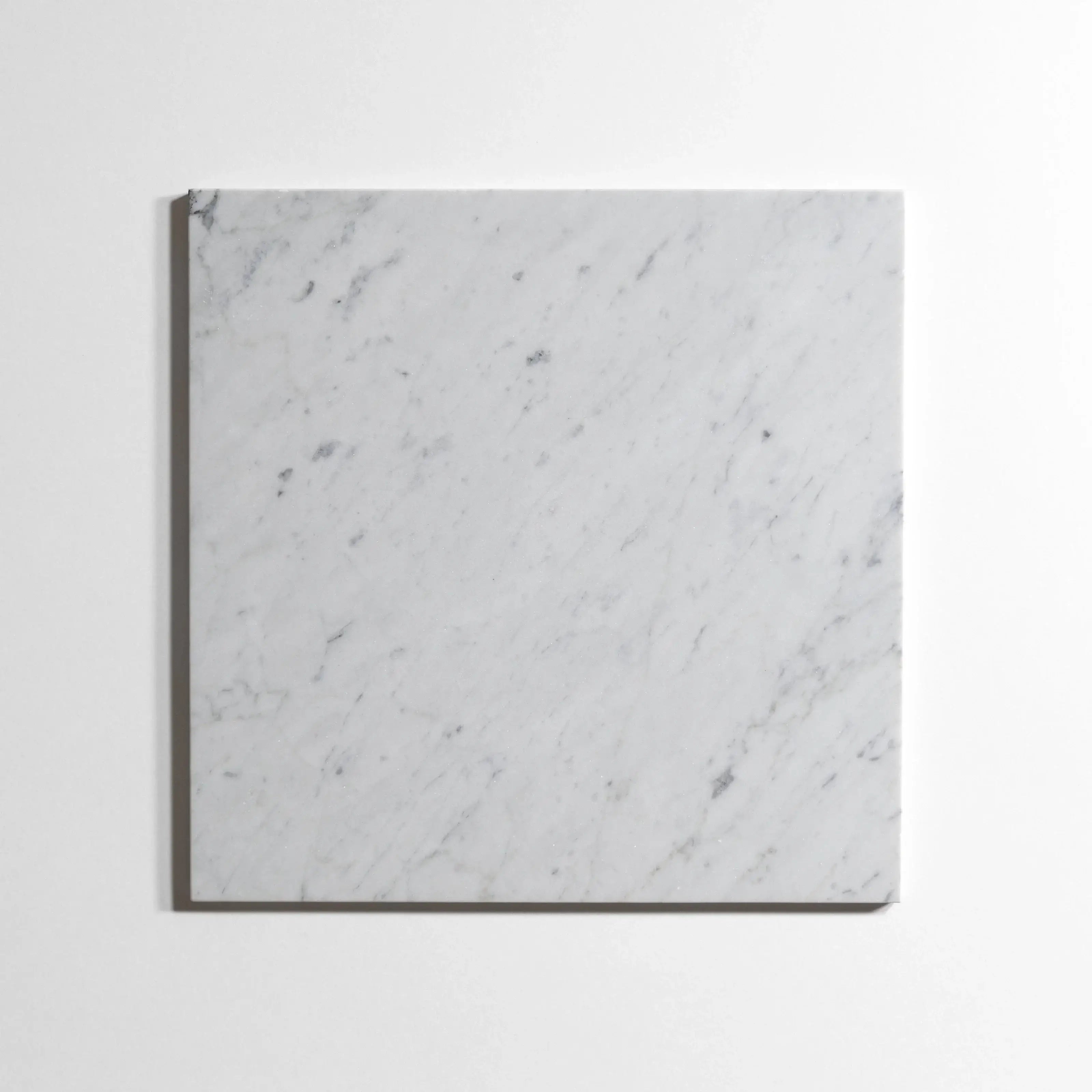 Venatino Carrara 12'x12" Honed Marble Tile