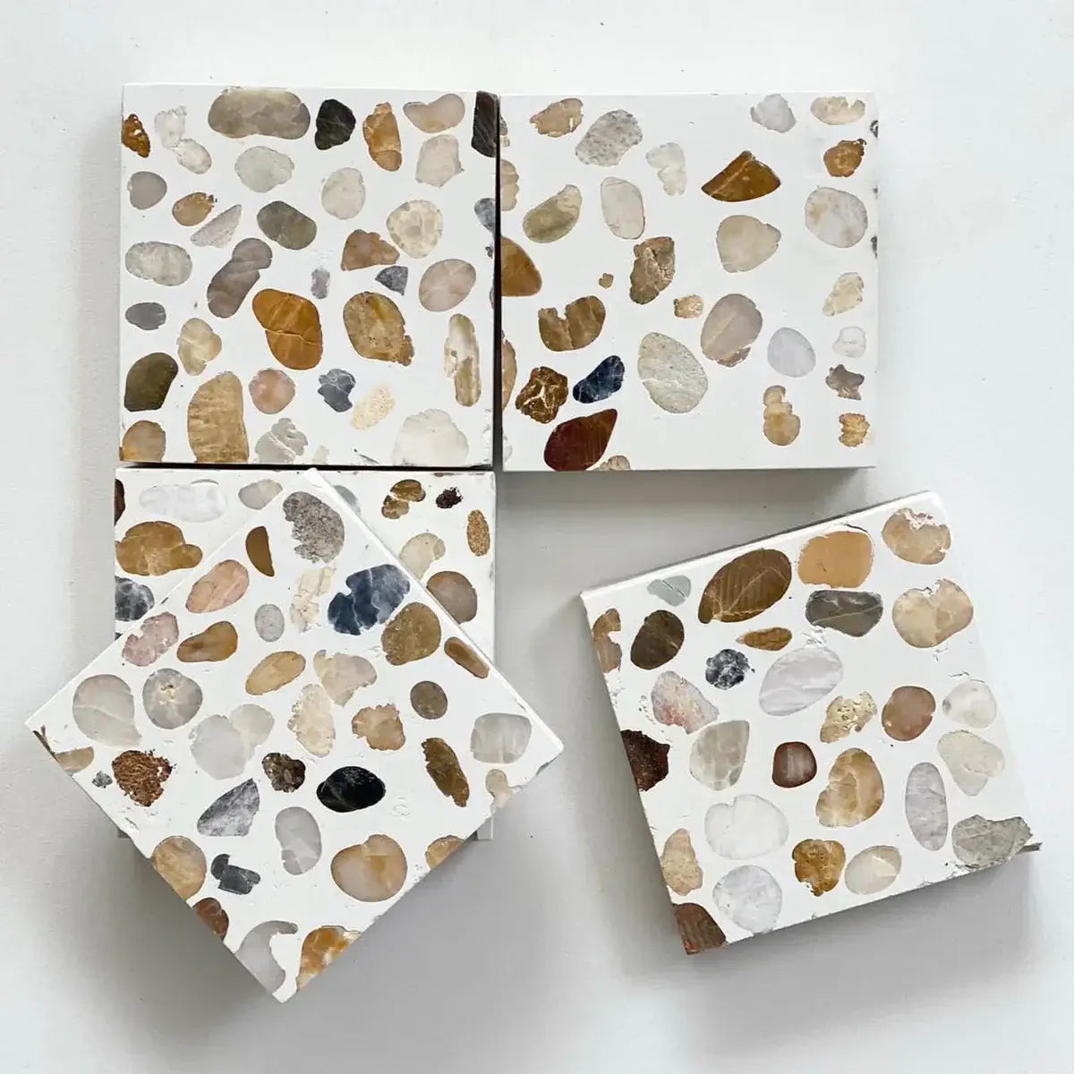 Clove 12"x12" Square Terrazzo Tile by Tilesofezra