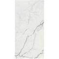 Supreme Memories 24"x48" Porcelain Tile Collection