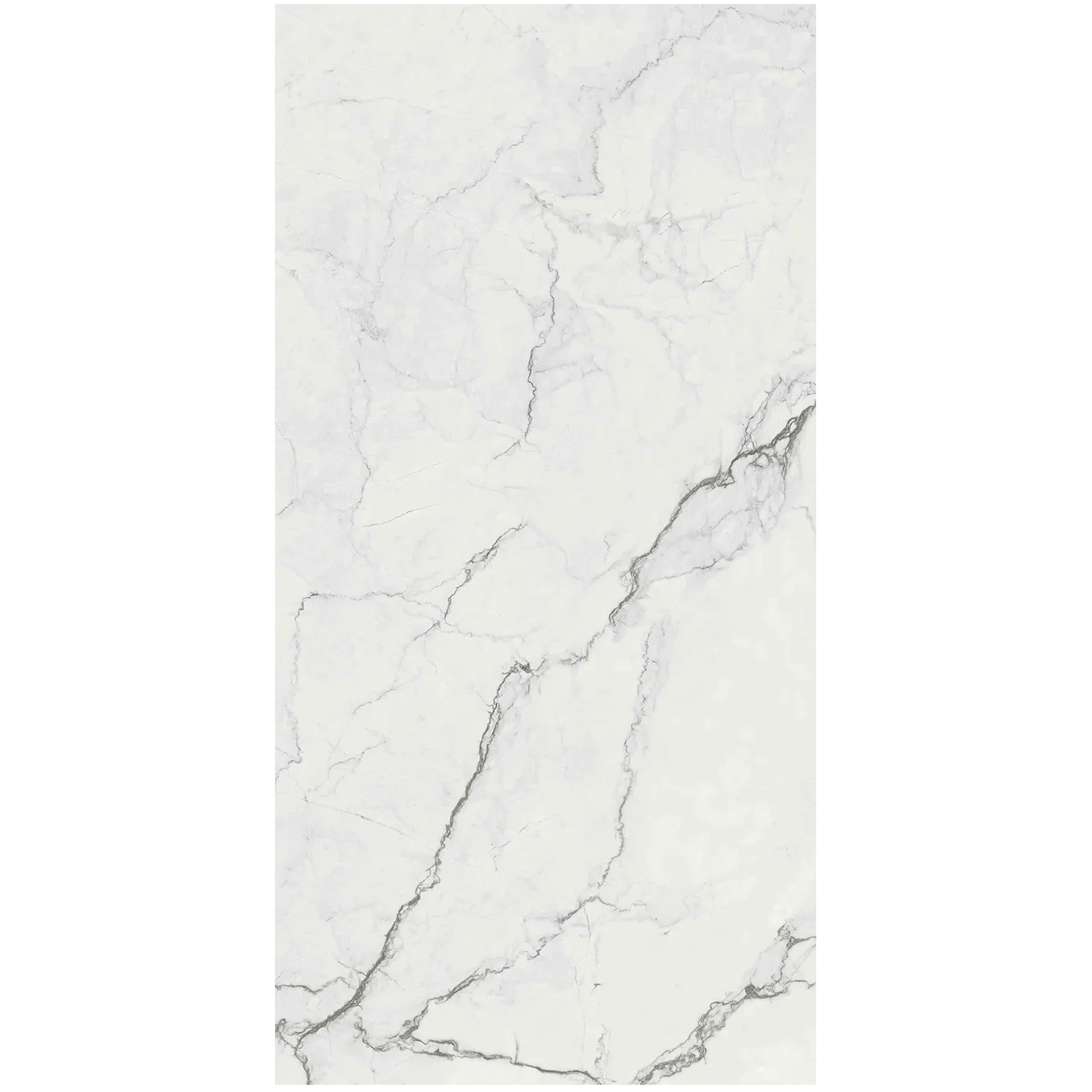Supreme Memories 24"x48" Porcelain Tile Collection