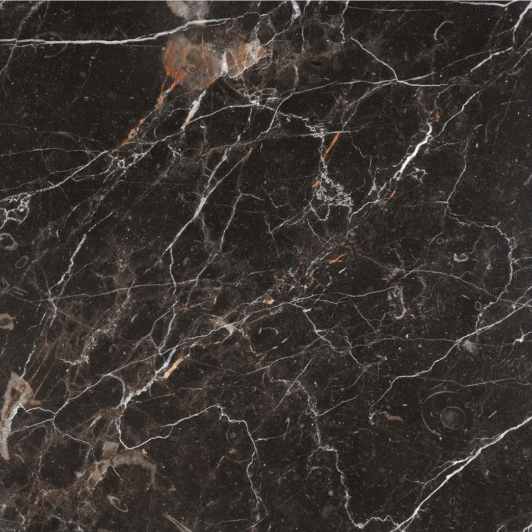 New St. Laurent 12"x12" Honed Marble Tile