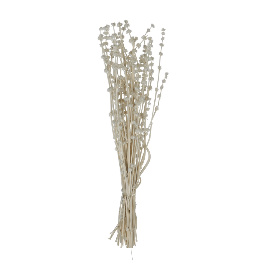 Dried Natural Lions Tail Bunch