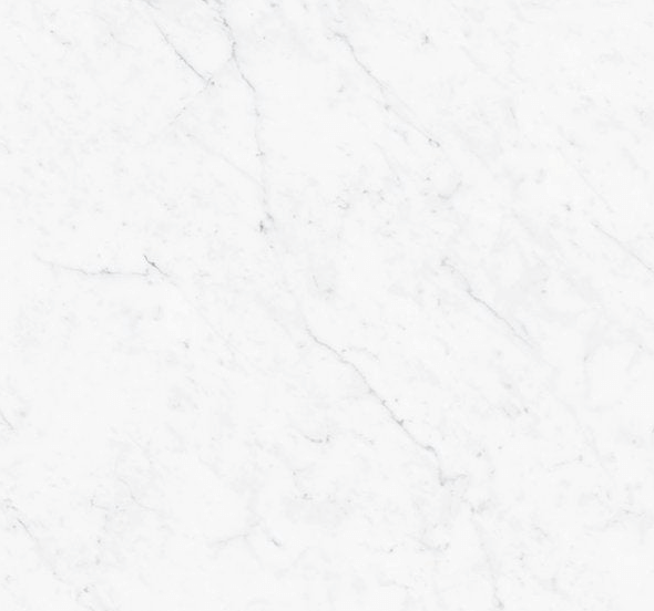 Vallelunga Carrara Porcelain Tile 24"x24"