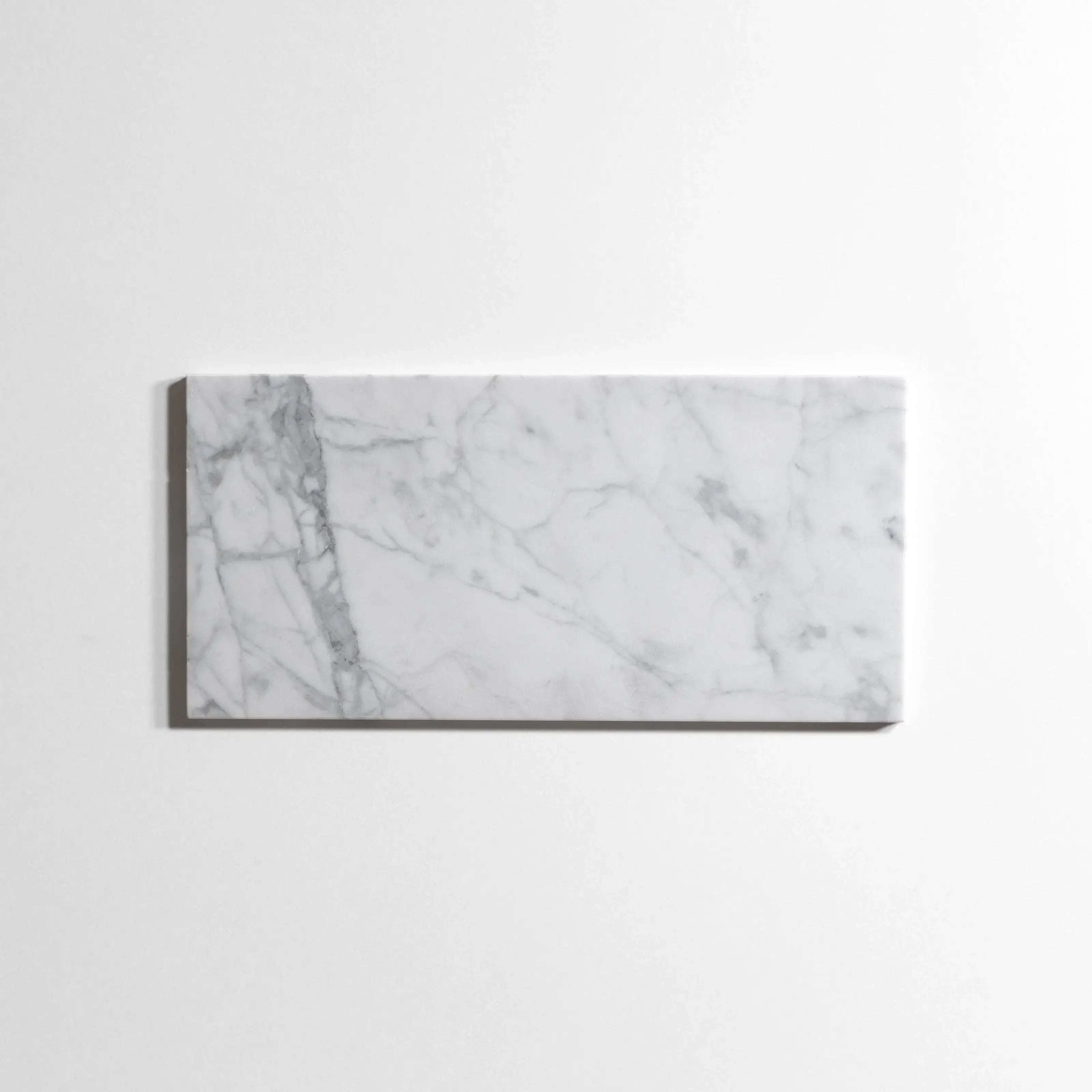 Statuary 6"x12" Polished Marble