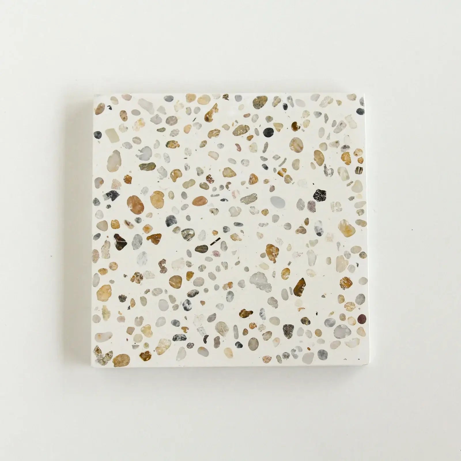 Clove 12"x12" Square Terrazzo Tile by Tilesofezra