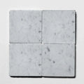 Venatino Carrara 12'x12" Tumbled Marble Tile