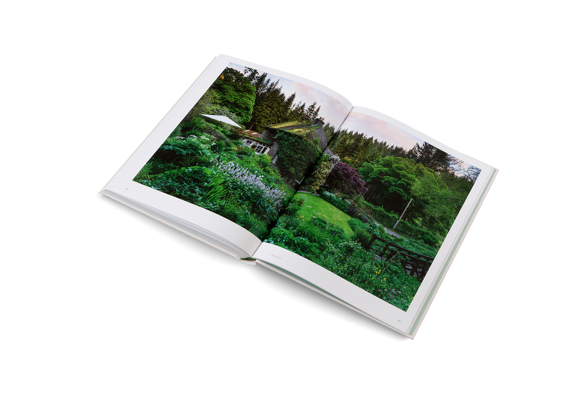 The Avant Gardens